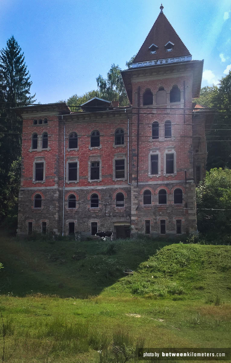 W Rumunii nawet krowy mają swój zamek 😉 Droga 74 W Rumunii nawet krowy mają swój zamek 😉 Droga 74