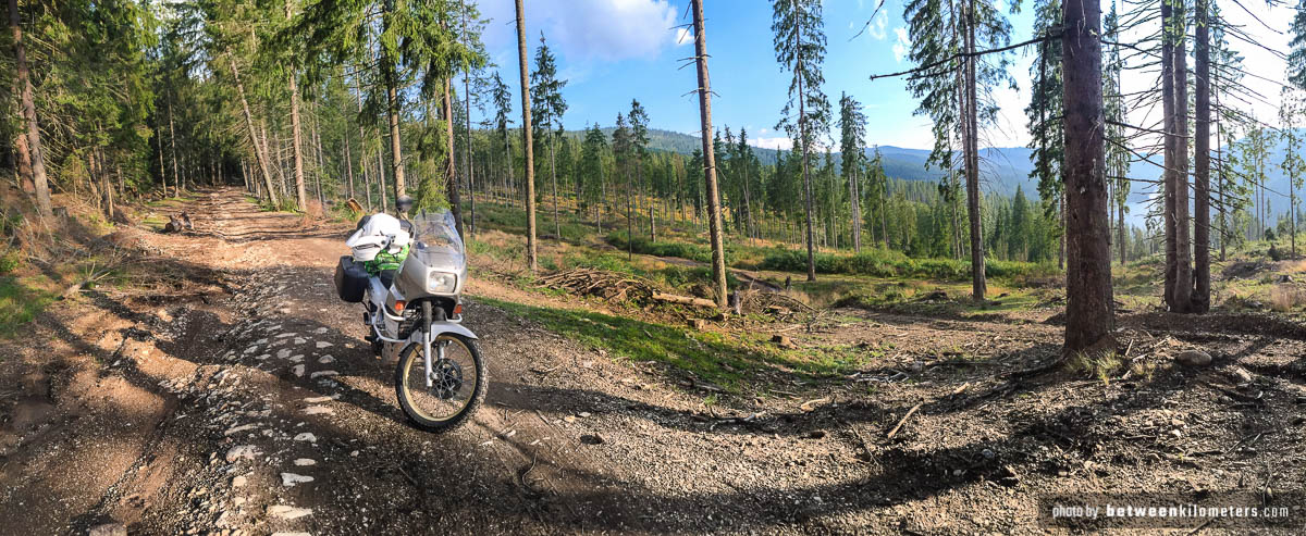 Zjechaliśmy z głownej drogi aby dostać się leśną drogą do górskiego jeziora Beliș-Fântânele, gdzie szukaliśmy miejsca na nocleg. Lasem do górskiego jeziora Beliș-Fântânele, Rumunia