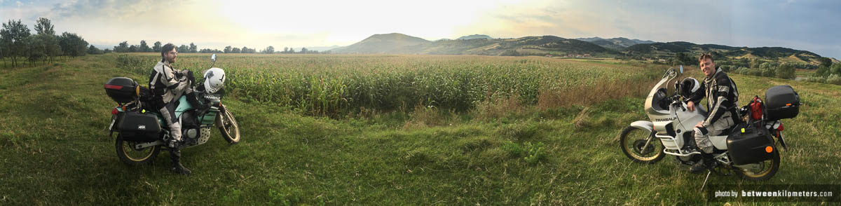 Pole kukurydzy nad rzeką Marusza niedaleko miasta Alba Iulia, Rumunia Pole kukurydzy nad rzeką Marusza niedaleko miasta Alba Iulia, Rumunia